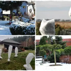 Ochrona roślin na zimę: jak okryć katalpę i inne drzewka przed mrozem. Białe kaptury chronią młode drzewka i krzewy.
