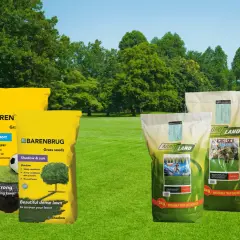 Trawy na suche tereny i do cienia. Mieszanki Barenbrug i Agro Land zapewnią piękny, gęsty trawnik.