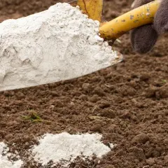 Kiedy stosować dolomit na trawnik, aby uniknąć problemów z glebą