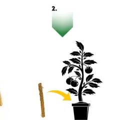 Instrukcja użycia: 1. Opakowanie pałeczek nawozowych. 2. Włożenie pałeczki do ziemi. 3. Podlanie rośliny.