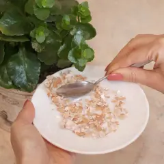 Łyżeczka zbiera pokruszone skorupki jajek, które posłużą jako naturalny nawóz do rośliny w doniczce.