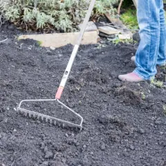 Osoba w dżinsach i różowych butach używa grabi do wyrównania żyznej ziemi.