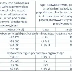 Ile wynosi podatek od gruntu rolnego? Sprawdź, by uniknąć kosztów