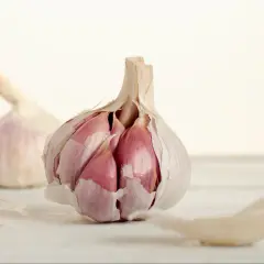 Czosnek na ziemiórki. Naturalny sposób na ochronę roślin.