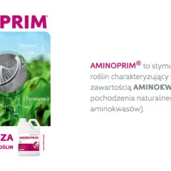 Aminoprim – stymulator regeneracji roślin z wysoką zawartością aminokwasów. Grafika przedstawia wzory chemiczne aminokwasów i DNA.