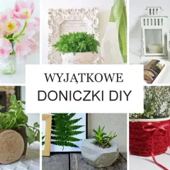Z czego można zrobić doniczkę? 10 kreatywnych pomysłów na DIY
