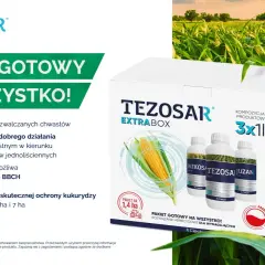 Gotowy pakiet TEZOSAR EXTRA BOX do ochrony kukurydzy. Skutecznie zwalcza chwasty, zapewniając zdrowe plony.