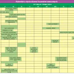 Kalendarz cięcia drzew owocowych: Agrest, Aronia, Jabłoń, Śliwa – kiedy najlepiej przycinać.