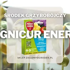 Środek grzybobójczy Magnicur Energy chroni młode rośliny. Opakowanie produktu na tle sadzonek.