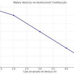 Wykres pokazuje, że po jakim czasie od oprysku może padać deszcz. Im dłuższy czas, tym mniejsza skuteczność insektycydu.