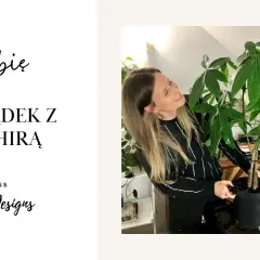 Jak przycinać pachirę, aby uniknąć błędów i zapewnić zdrowy wzrost