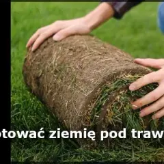 Jak przygotować ziemię pod trawnik, aby uniknąć błędów i cieszyć się pięknem trawy