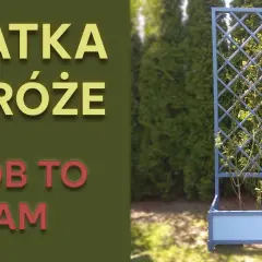 Jak zrobić kratkę do pergoli – proste kroki i praktyczne porady