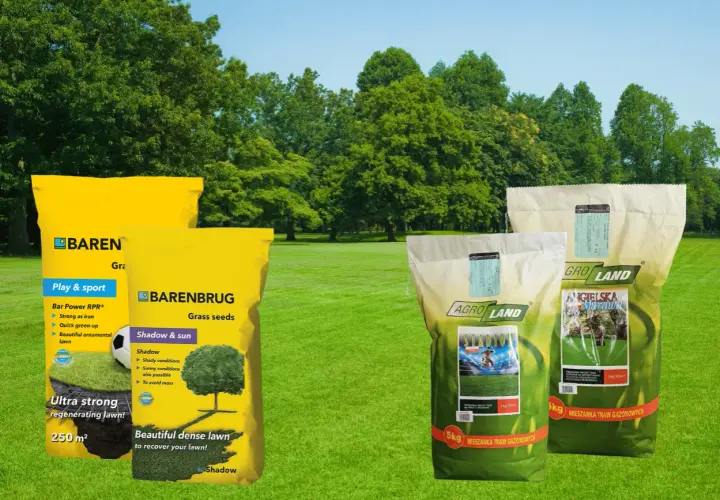 Trawy na suche tereny i do cienia. Mieszanki Barenbrug i Agro Land zapewnią piękny, gęsty trawnik.