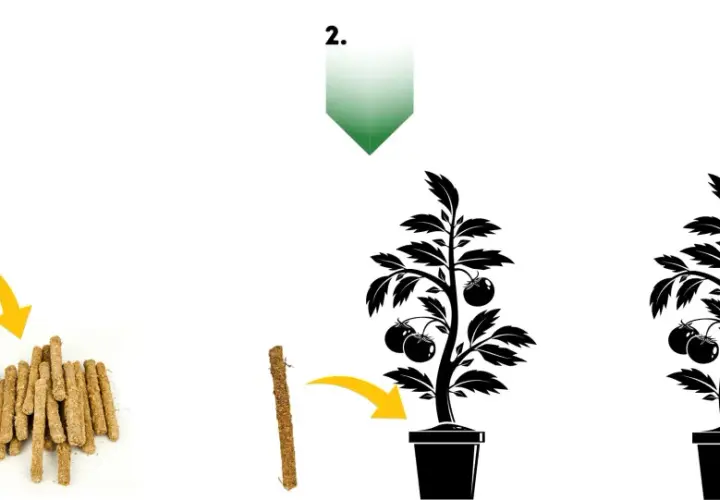 Instrukcja użycia: 1. Opakowanie pałeczek nawozowych. 2. Włożenie pałeczki do ziemi. 3. Podlanie rośliny.