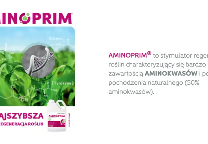 Aminoprim – stymulator regeneracji roślin z wysoką zawartością aminokwasów. Grafika przedstawia wzory chemiczne aminokwasów i DNA.