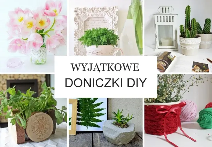 Z czego można zrobić doniczkę? 10 kreatywnych pomysłów na DIY