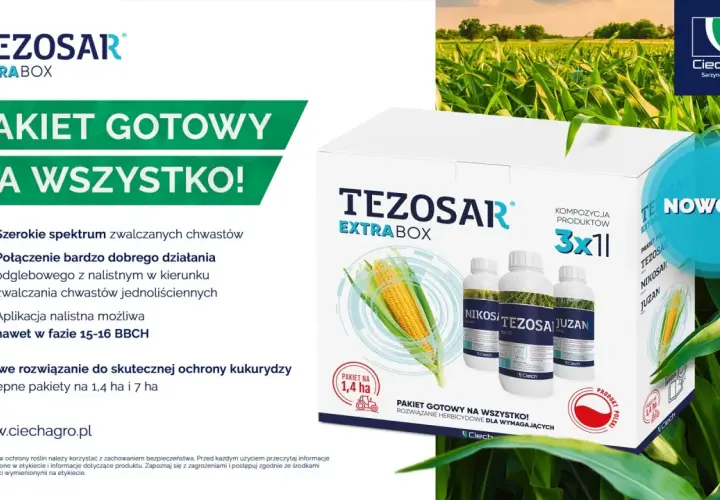 Gotowy pakiet TEZOSAR EXTRA BOX do ochrony kukurydzy. Skutecznie zwalcza chwasty, zapewniając zdrowe plony.