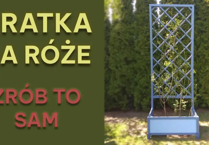 Jak zrobić kratkę do pergoli – proste kroki i praktyczne porady