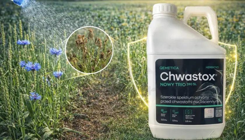 Chwastox Trio 390 SL - skuteczne zwalczanie chwastów dwuliściennych. Poznaj dawkowanie dla zbóż i terenów rekreacyjnych.