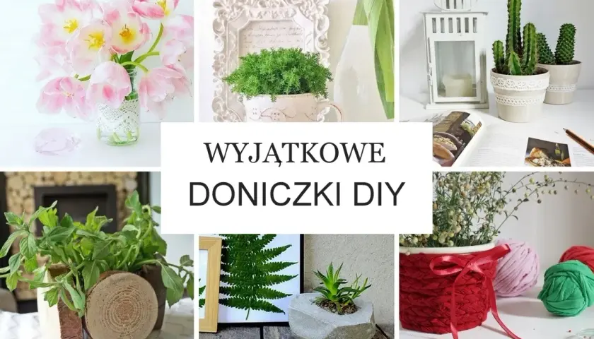Z czego można zrobić doniczkę? 10 kreatywnych pomysłów na DIY