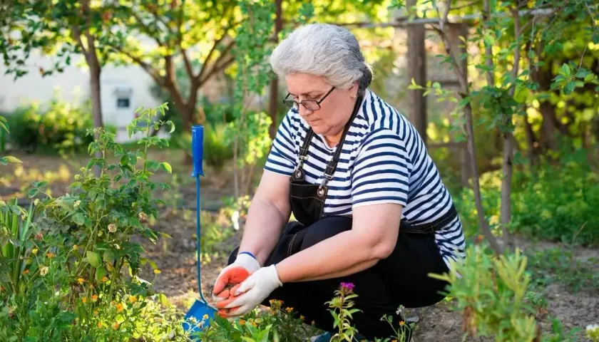 Kobieta w ogrodzie, przygotowująca nawóz. Idealny czas na stosowanie azofoski, gdy rośliny potrzebują wsparcia.
