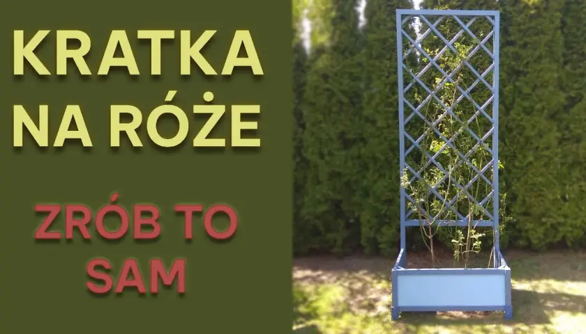 Jak zrobić kratkę do pergoli – proste kroki i praktyczne porady