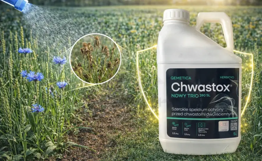 Chwastox Nowy Trio 390 SL - Jak dawkować i kiedy wykonać oprysk?
