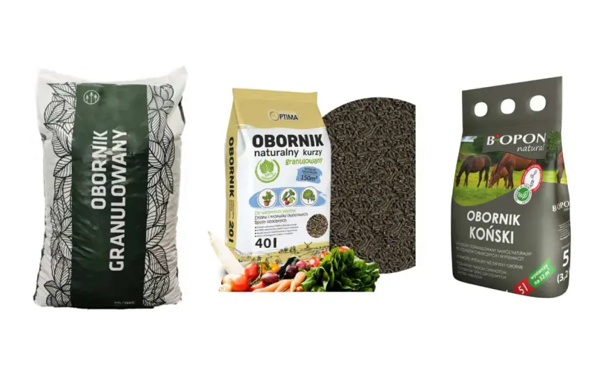 Jaki obornik pod ogórki wybrać? Najlepsze opcje i terminy