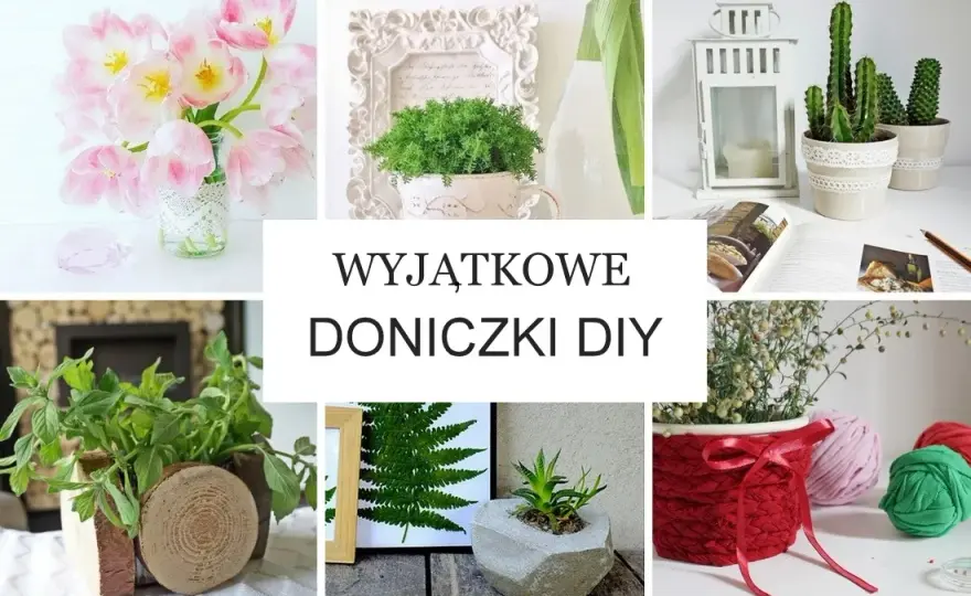 Z czego można zrobić doniczkę? 10 kreatywnych pomysłów na DIY