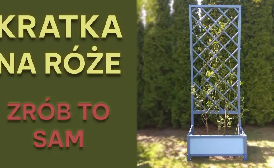 Jak zrobić kratkę do pergoli – proste kroki i praktyczne porady