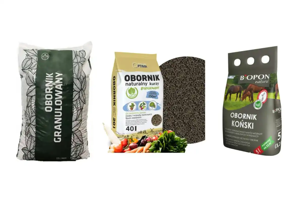 Jaki obornik pod ogórki wybrać? Najlepsze opcje i terminy