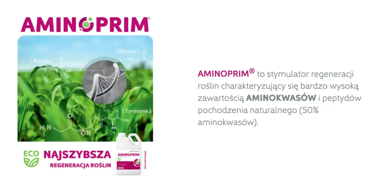 Aminoprim – stymulator regeneracji roślin z wysoką zawartością aminokwasów. Grafika przedstawia wzory chemiczne aminokwasów i DNA.