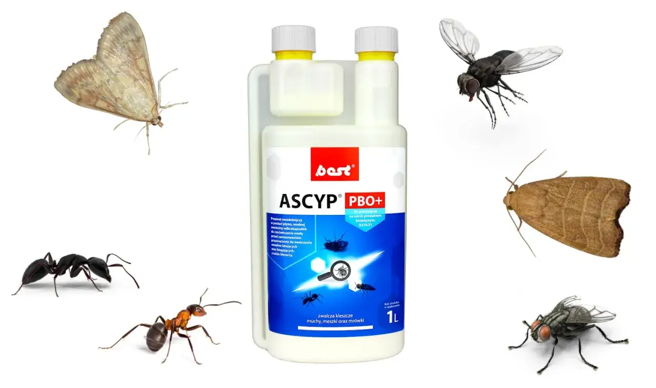 Butelka preparatu ASCYP PBO+ otoczona przez muchy, ćmy i mrówki, które zwalcza.