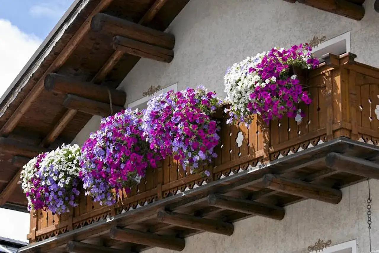 Balkon ozdobiony obfitymi roślinami do donic na zewnątrz w odcieniach bieli, fioletu i różu.