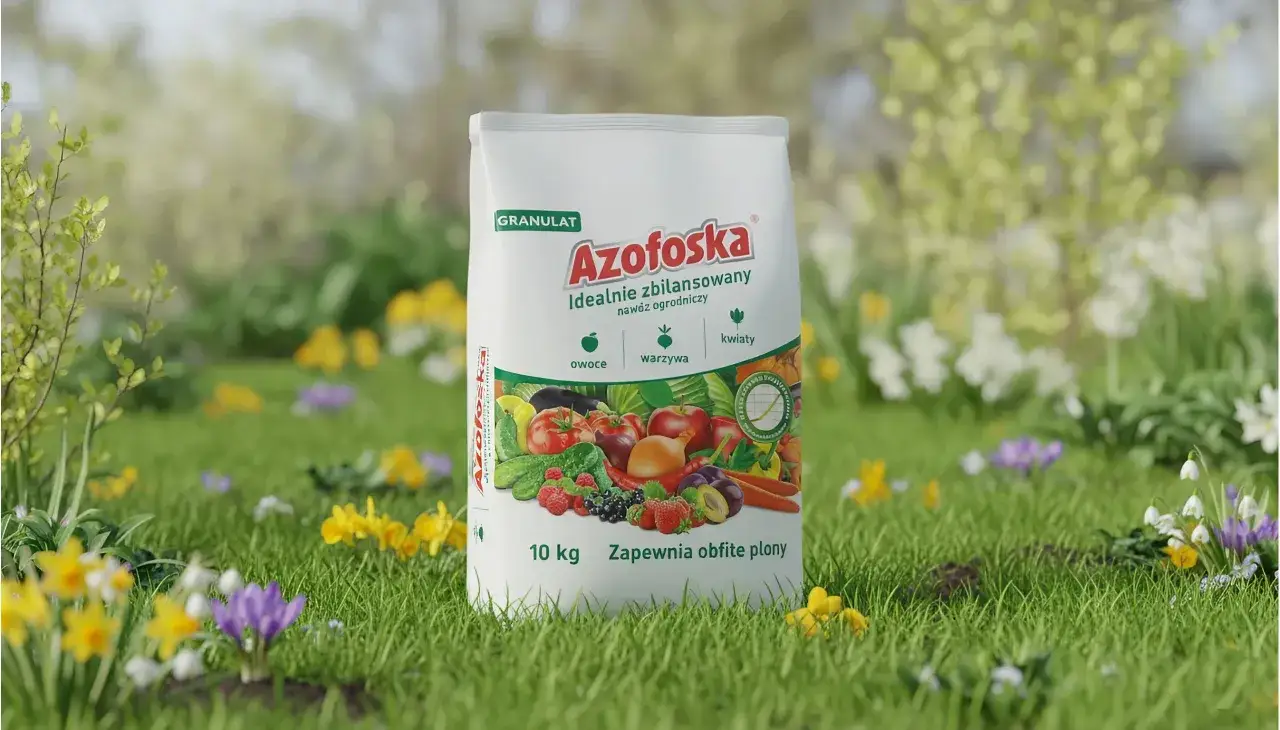 Azofoska w granulkach, idealna do nawożenia owoców, warzyw i kwiatów. Kiedy sypać? Wiosną, by zapewnić obfite plony.